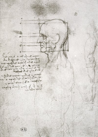 Cabeza de un Hombre Viejo en Perfil, copia facsímil de Leonardo da Vinci