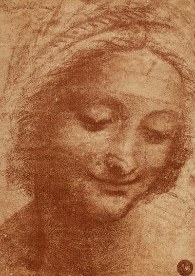 Cabeza de la mujer o de Santa Ana, dibujo de Leonardo da Vinci, estudio para la cabeza de la pintura de Santa Ana 