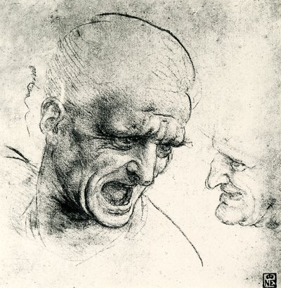 Estudios de cabeza de Leonardo da Vinci