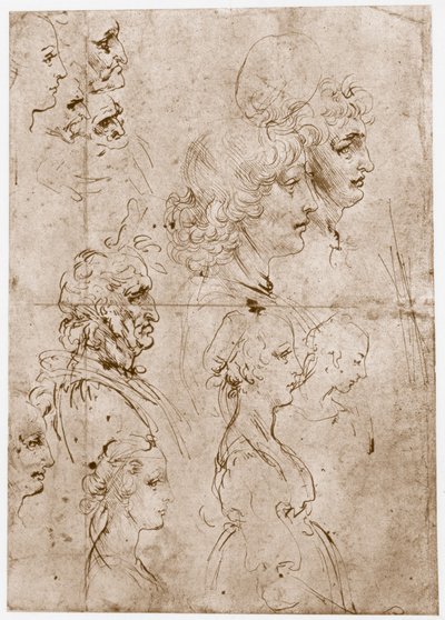 Cabezas de niñas, hombres jóvenes y viejos, 1478-1480 de Leonardo da Vinci