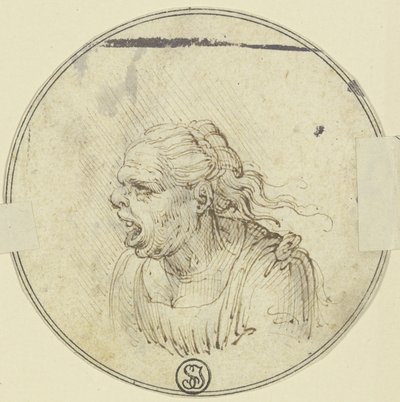 Caricatura de una mujer con la boca abierta, a medio cuerpo, de perfil hacia la izquierda de Leonardo da Vinci