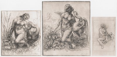 Leda y el cisne, c1504-1506 de Leonardo da Vinci