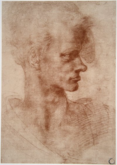 Leonardo da Vinci: Caricatura de retrato de un joven de Leonardo da Vinci