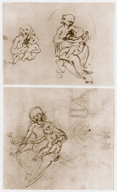 Madonna con la Flor, c. 1478 de Leonardo da Vinci