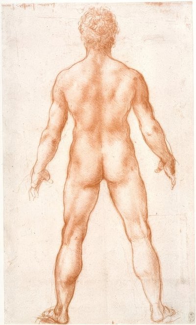 Desnudo masculino de espaldas de Leonardo da Vinci