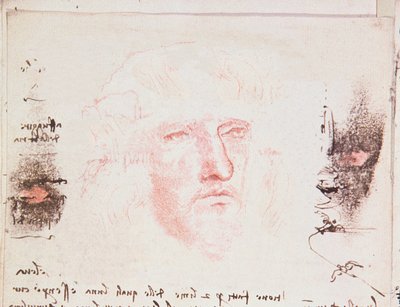 Notas sobre los cambios de dirección en vuelo, página manuscrita del Codici Rari III 35.2, fol. 10v del Tratado sobre el vuelo de los pájaros, 1505 de Leonardo da Vinci