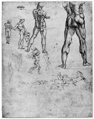 Estudios de desnudos para La batalla de Anghiari, c. 1503-1505 1954 de Leonardo da Vinci