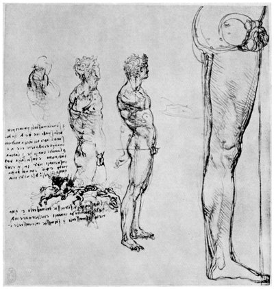 Estudios de desnudos para La Batalla de Anghiari, c1503-1505 de Leonardo da Vinci