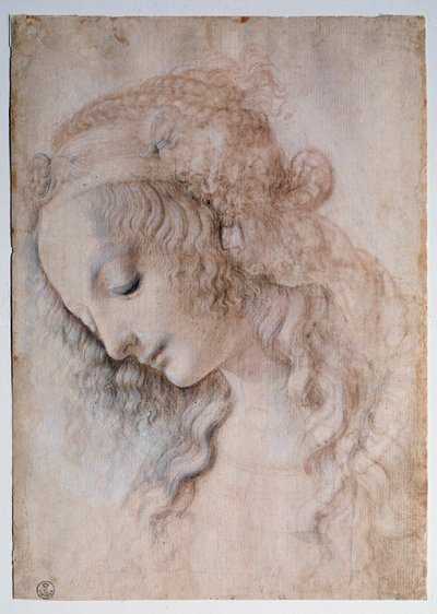 Retrato de una niña de Leonardo da Vinci