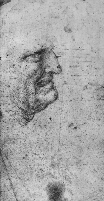 Perfil de un hombre con dientes apretados, c. 1480 de Leonardo da Vinci