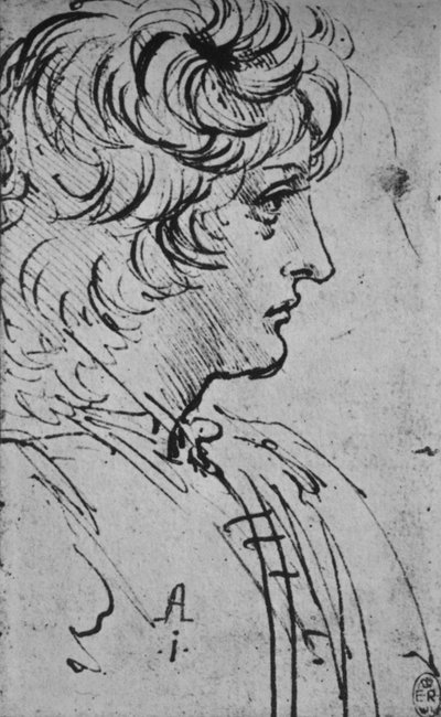Perfil de un joven a la derecha, c1480 1945 de Leonardo da Vinci