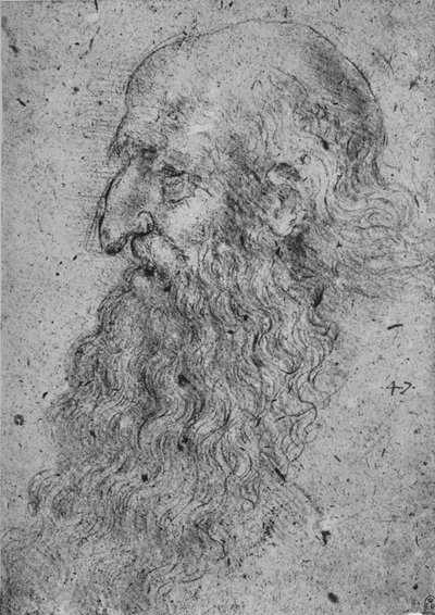 Perfil de un hombre viejo y barbudo a la izquierda, c1480 1945 de Leonardo da Vinci
