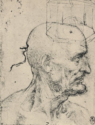 Perfil a la derecha de un hombre calvo, c1480 1945 de Leonardo da Vinci
