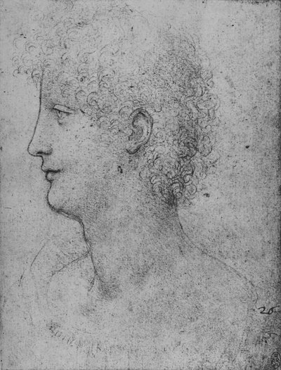 Perfil a la izquierda de un joven de cabello rizado, c1480 1945 de Leonardo da Vinci