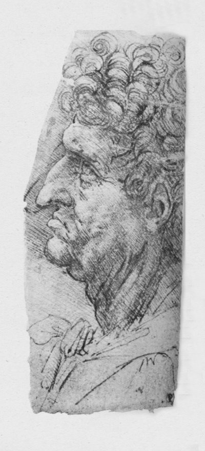 Perfil a la izquierda de un hombre mayor con cabello rizado, c1480 1945 de Leonardo da Vinci