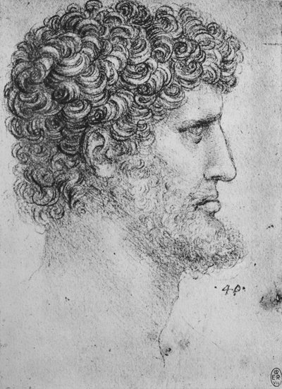 Perfil a la derecha de un hombre barbudo, c1480 de Leonardo da Vinci