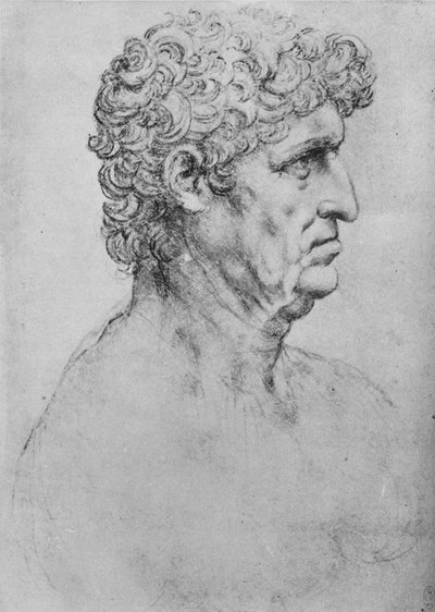 Perfil a la derecha de un hombre anciano, c1480 1945 de Leonardo da Vinci