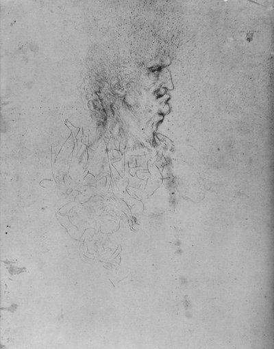 Perfil a la derecha de un anciano, c1480 1945 de Leonardo da Vinci