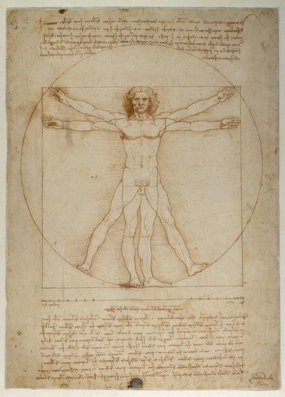 Esquema de proporciones de la figura humana según Vitruvio de Leonardo da Vinci