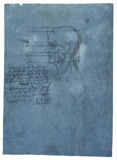 Estudio de proporciones de una cabeza masculina de perfil de Leonardo da Vinci