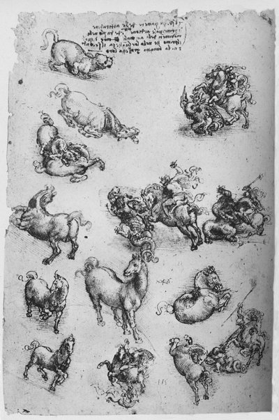 Hoja de estudios de caballos, un gato y de San Jorge y el dragón, c1480 1945 de Leonardo da Vinci