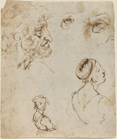 Hoja de estudios de Leonardo da Vinci