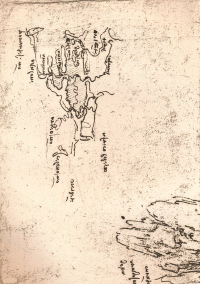 Mapa esquemático de Armenia, c1472-c1519 de Leonardo da Vinci