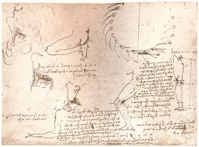 Bocetos que ilustran la teoría de las proporciones de la figura humana, c1472-c1519 1883 de Leonardo da Vinci