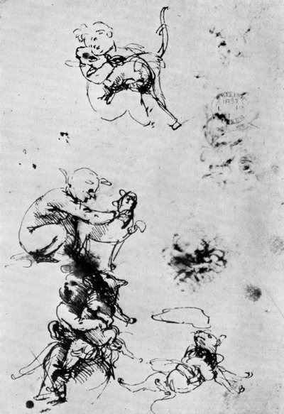 Estudios para una Madonna Del Gatto, siglo XV, 1930 de Leonardo da Vinci
