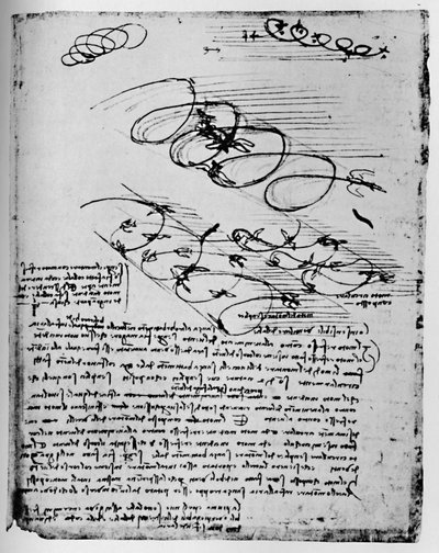 Estudios de aves en vuelo al elevarse y girar, 1928 de Leonardo da Vinci