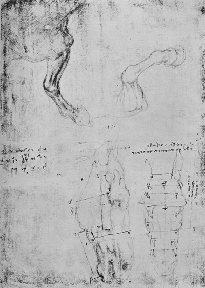 Estudios de Patas Delanteras de Caballos y Dibujos Medidos de Cabezas de Caballos, c1480 1945 de Leonardo da Vinci