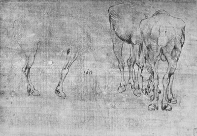 Estudios de caballos pastando, c. 1480-1945 de Leonardo da Vinci