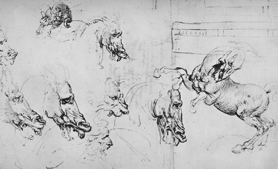 Estudios de cabezas de caballos y de un caballo encabritado, c1480 1945 de Leonardo da Vinci