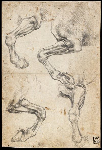 Estudios de la pierna de un caballo de Leonardo da Vinci