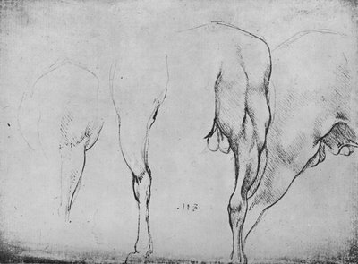 Estudios de patas de caballos, c1480 1945 de Leonardo da Vinci