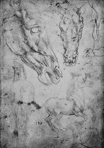 Estudios de caballos y de cabezas de caballos, c1480 1945 de Leonardo da Vinci