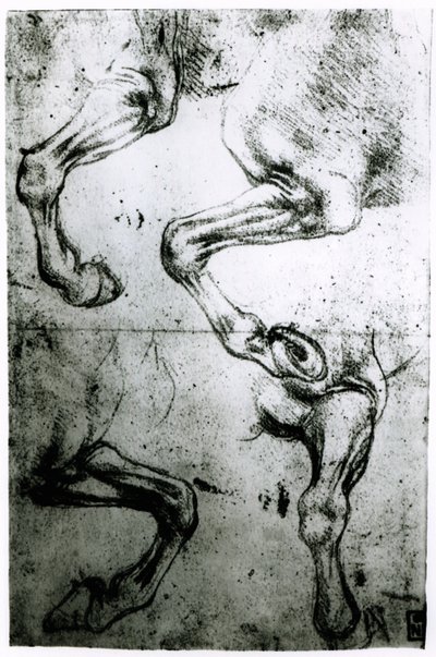 Estudios de patas de caballos de Leonardo da Vinci