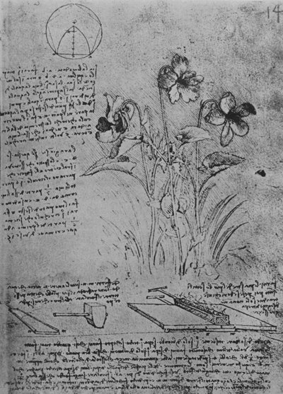 Estudios de violas y métodos de soldadura de techos de plomo de Leonardo da Vinci