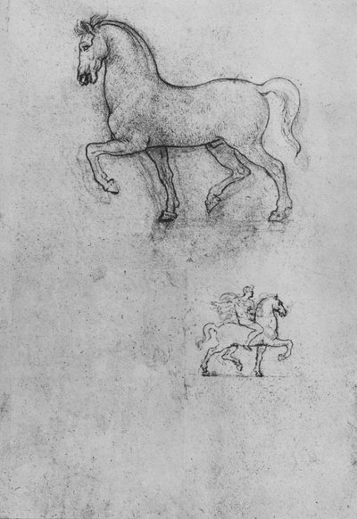 Estudios de un caballo y uno de un caballo y jinete, c1480 1945 de Leonardo da Vinci
