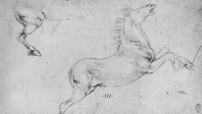 Estudios de un caballo encabritado y las ancas de un caballo, c1480 1945 de Leonardo da Vinci