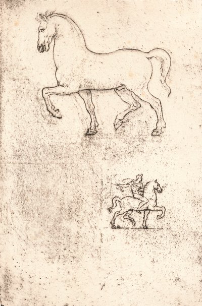 Estudio para el Monumento Sforza, c1482-c1499, 1883 de Leonardo da Vinci