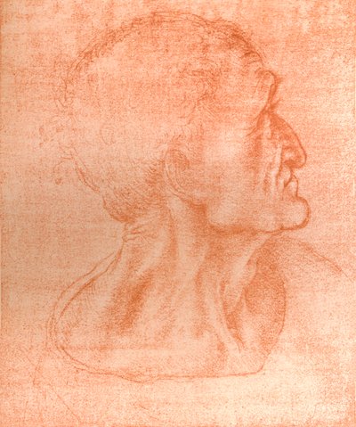 Estudio para la cabeza de Judas en `La Última Cena`, c1494-c1499 de Leonardo da Vinci