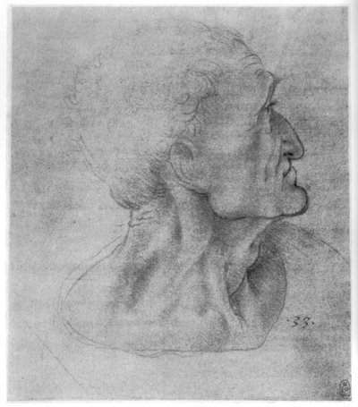 Estudio de Judas para La Última Cena, c1495 de Leonardo da Vinci