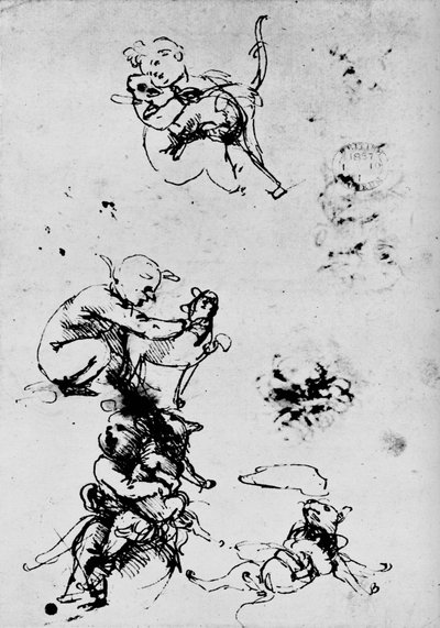 Estudio de un niño con un gato, 1478-1481 1945 de Leonardo da Vinci