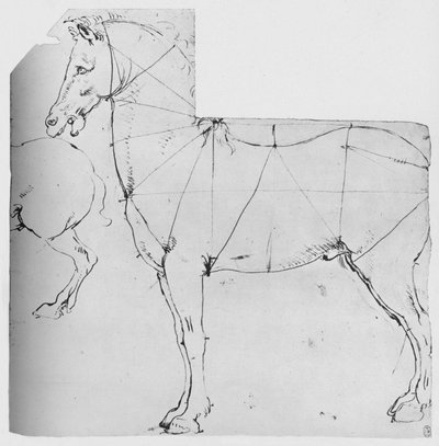 Estudio de un caballo marcado para medición, c1480 1945 de Leonardo da Vinci