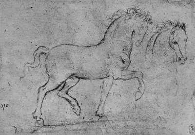 Estudio de un caballo y de una cabeza de caballo, c. 1480 de Leonardo da Vinci