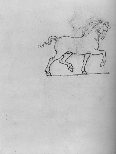 Estudio de un Caballo, c1480 1945 de Leonardo da Vinci