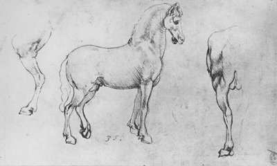 Estudio de un Caballo, su Pata Trasera Izquierda y sus Cuartos Traseros, c1480 de Leonardo da Vinci
