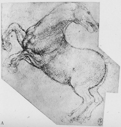 Estudio de un caballo encabritado, c. 1480 1945 de Leonardo da Vinci