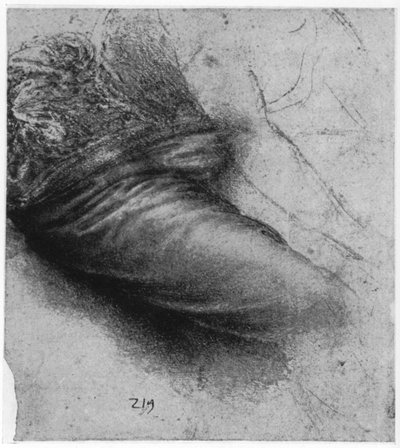 Estudio de una prenda para Santa Ana, 1503-1517 de Leonardo da Vinci